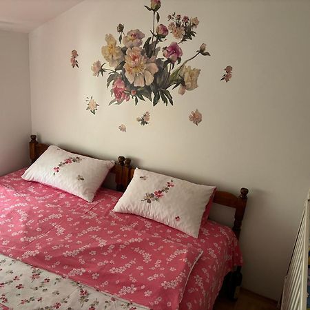 Elena Apartment Плужине Екстер'єр фото