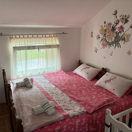 Elena Apartment Плужине Екстер'єр фото