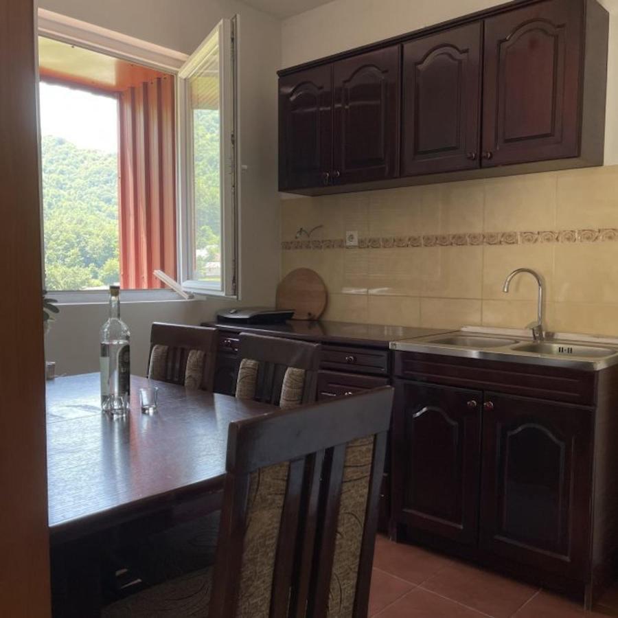 Elena Apartment Плужине Екстер'єр фото