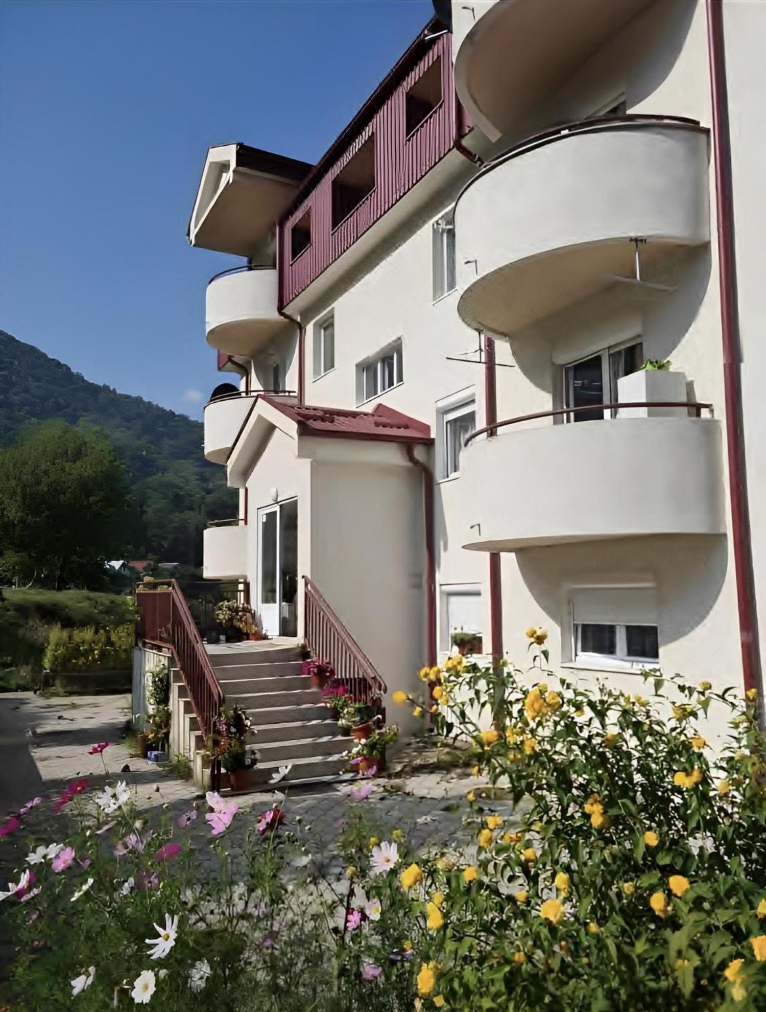 Elena Apartment Плужине Екстер'єр фото