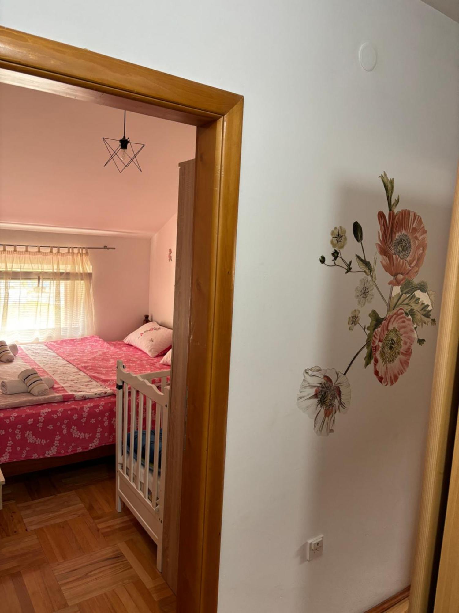 Elena Apartment Плужине Екстер'єр фото
